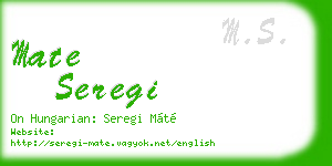 mate seregi business card